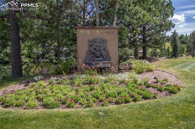 968 Summer Spring View