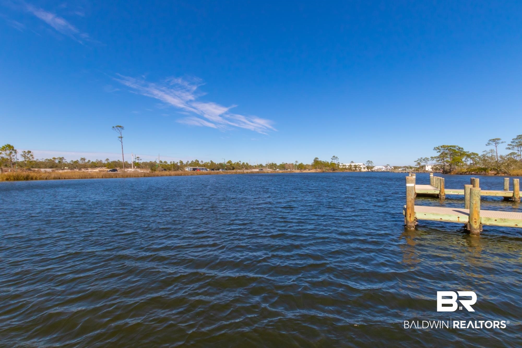 25805 Perdido Beach Boulevard # 223