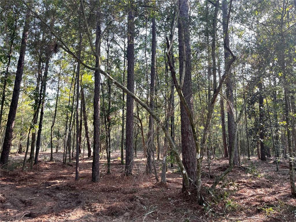 127 MAYHAW Road
