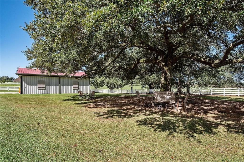 11605 DAMIANO Road