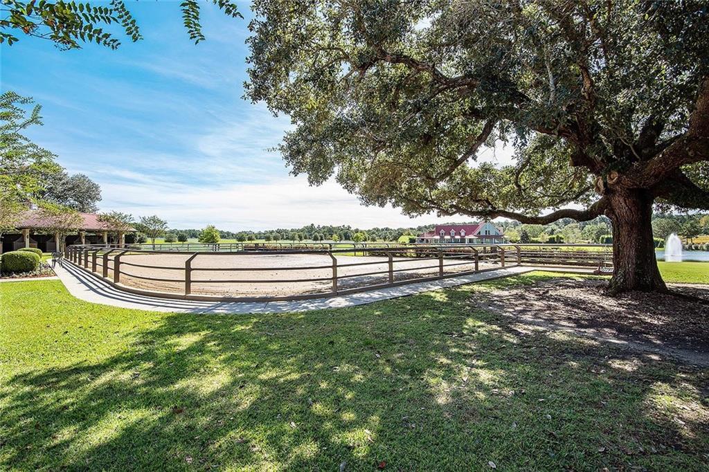11605 DAMIANO Road