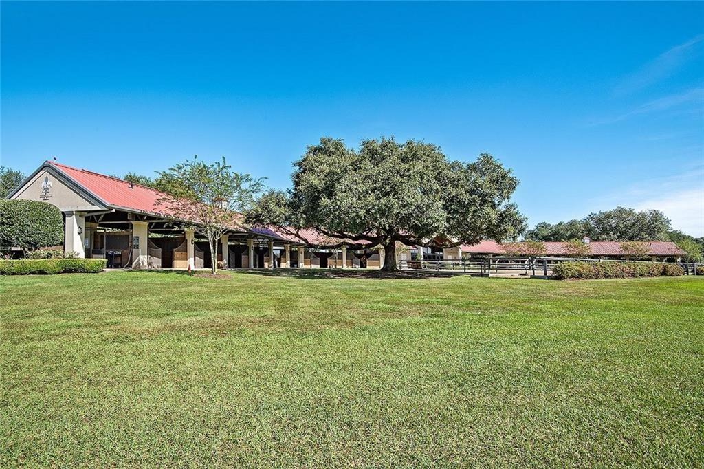 11605 DAMIANO Road