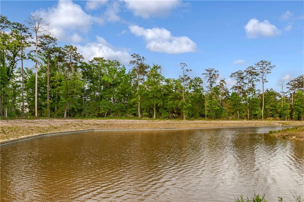 (Lot 85) 1745 OX BOW Lane