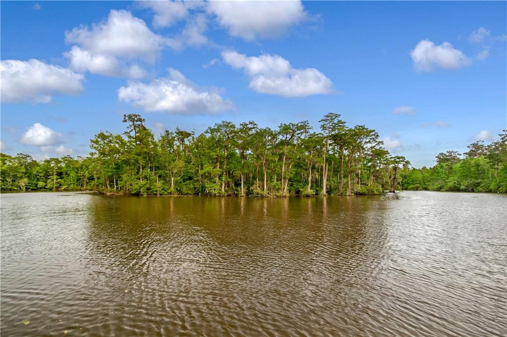 (Lot 119) 1359 RIVER CLUB Drive
