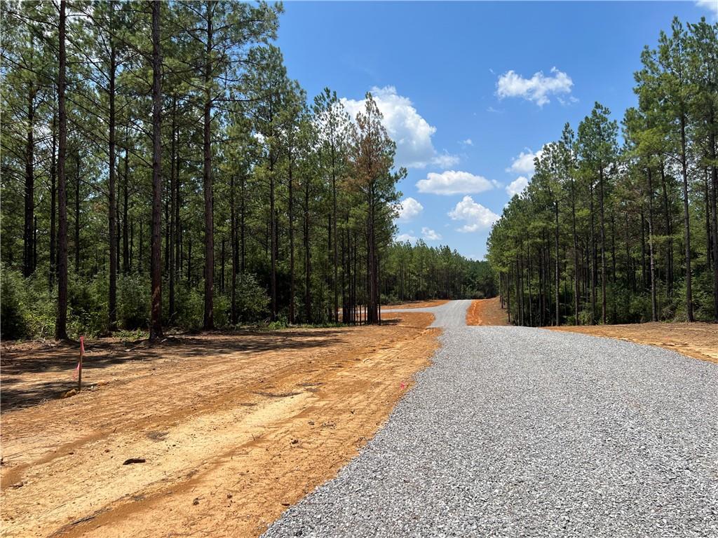 Lot 21 STEPHANIE Lane