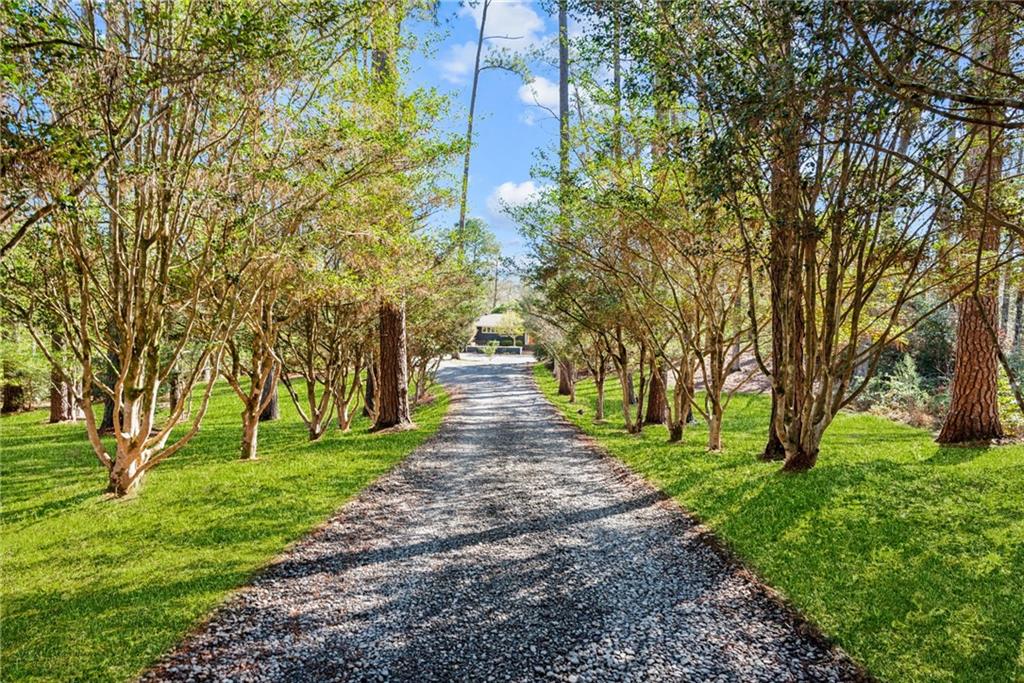 3 VIOLET Drive