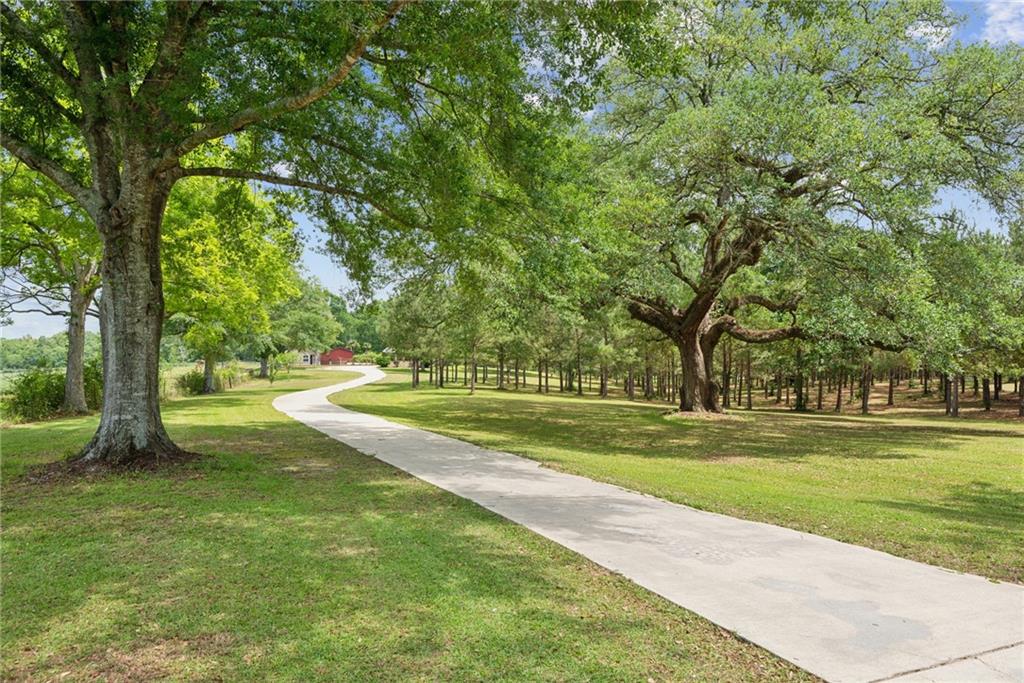 42011 BETHEL Road