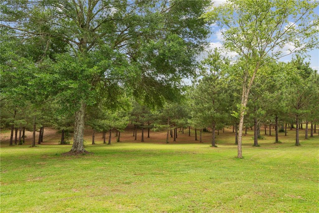 42011 BETHEL Road