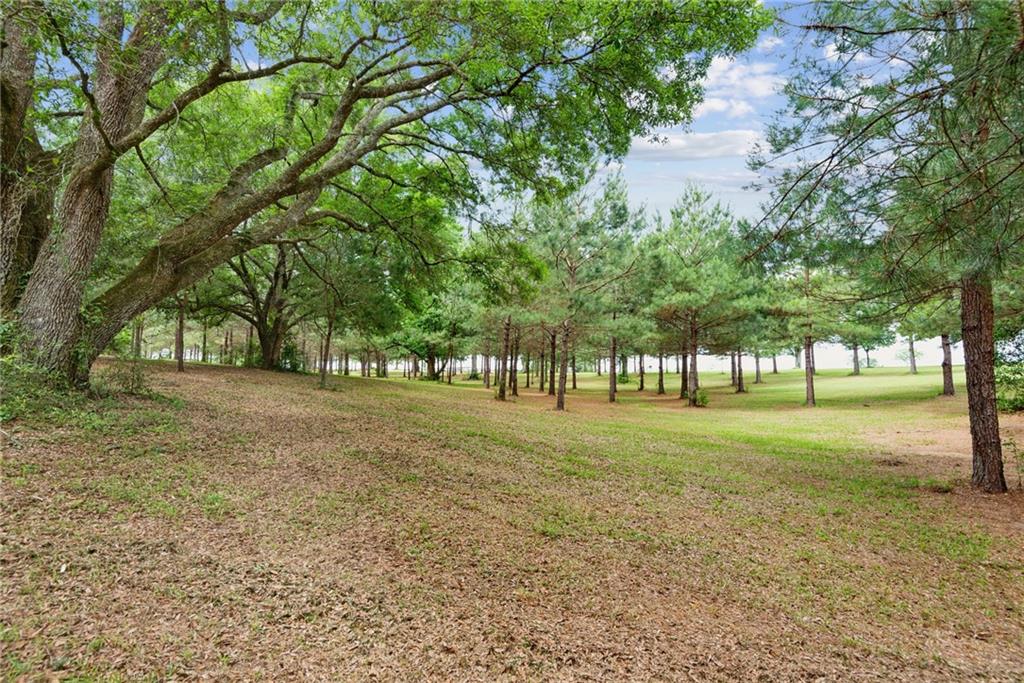 42011 BETHEL Road