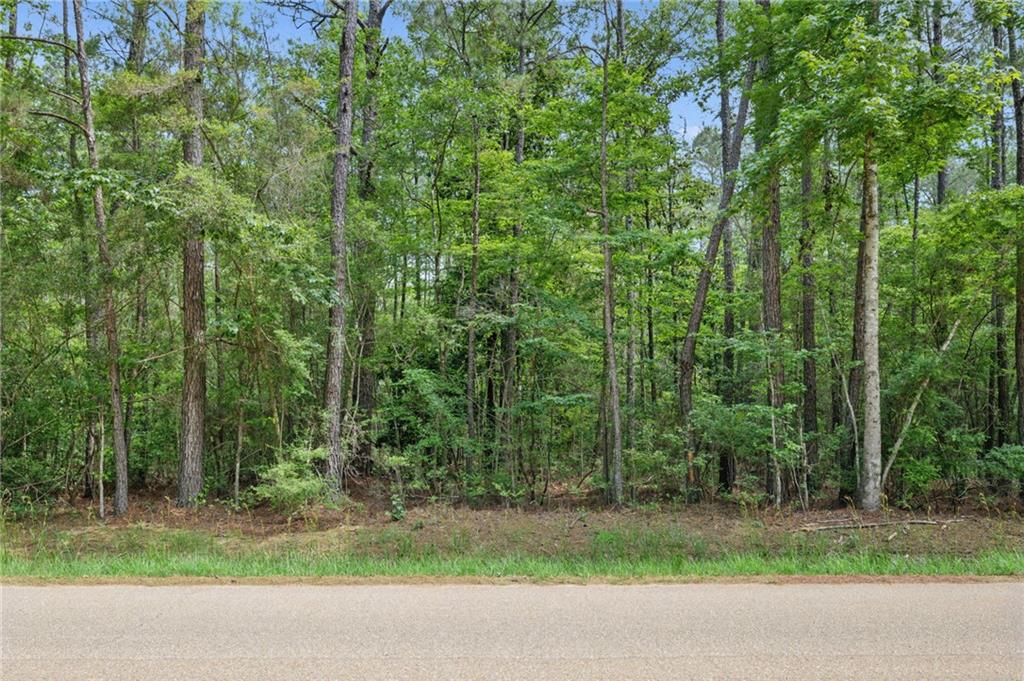 Parcel 2 (6.49) ACRES BRUHL Road