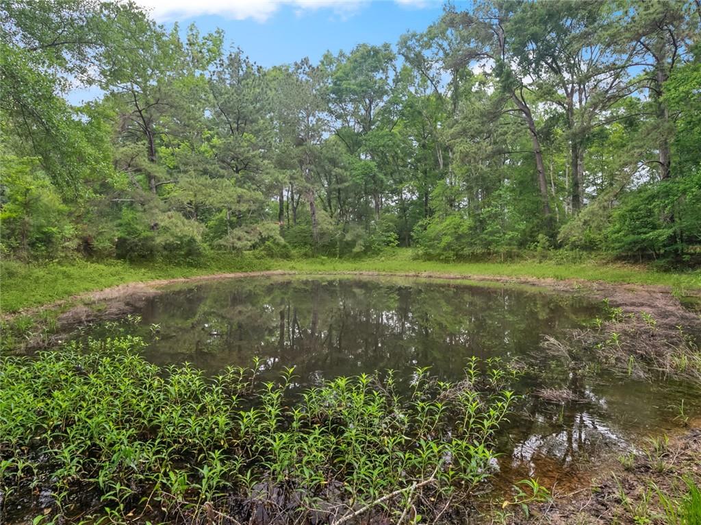 82491 HIGHWAY 437 Highway