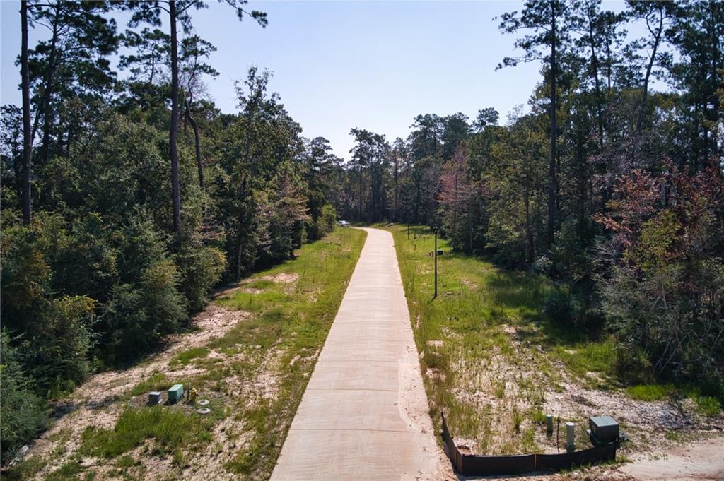(Lot 141) 1833 DELTA Trail