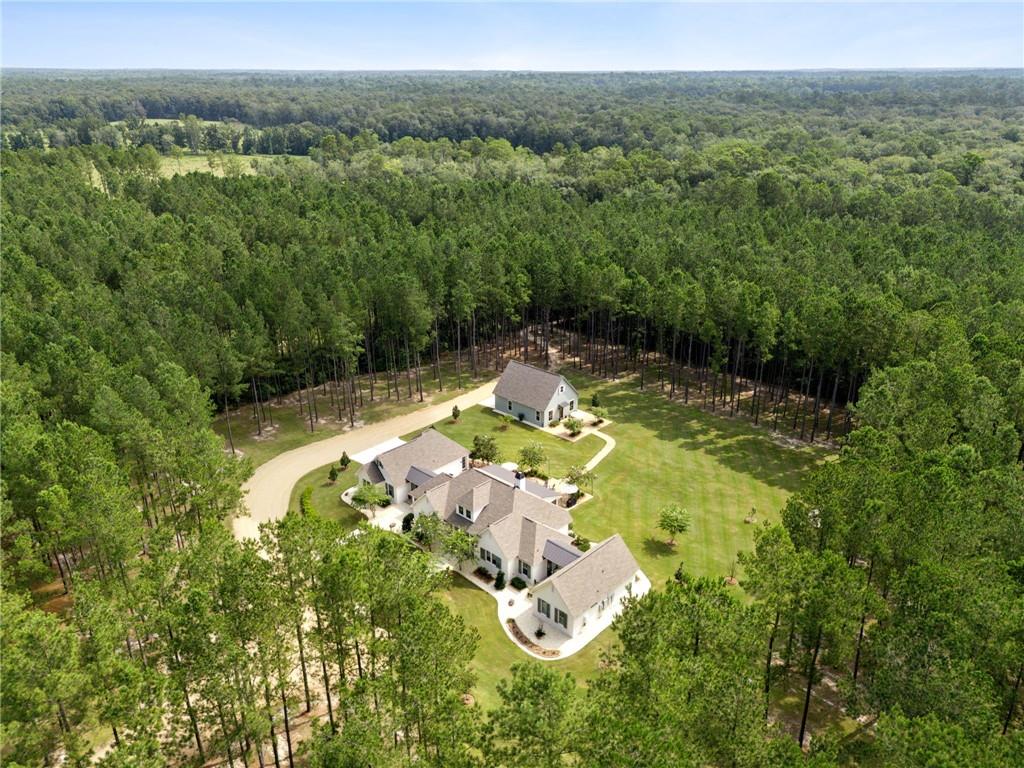 291 SHENANDOAH Lane