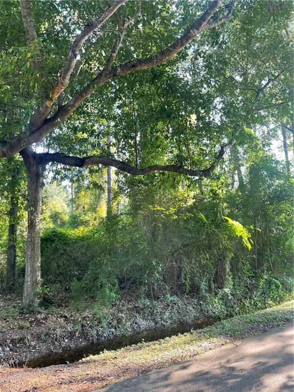 Lot 24 SPRUCE Drive