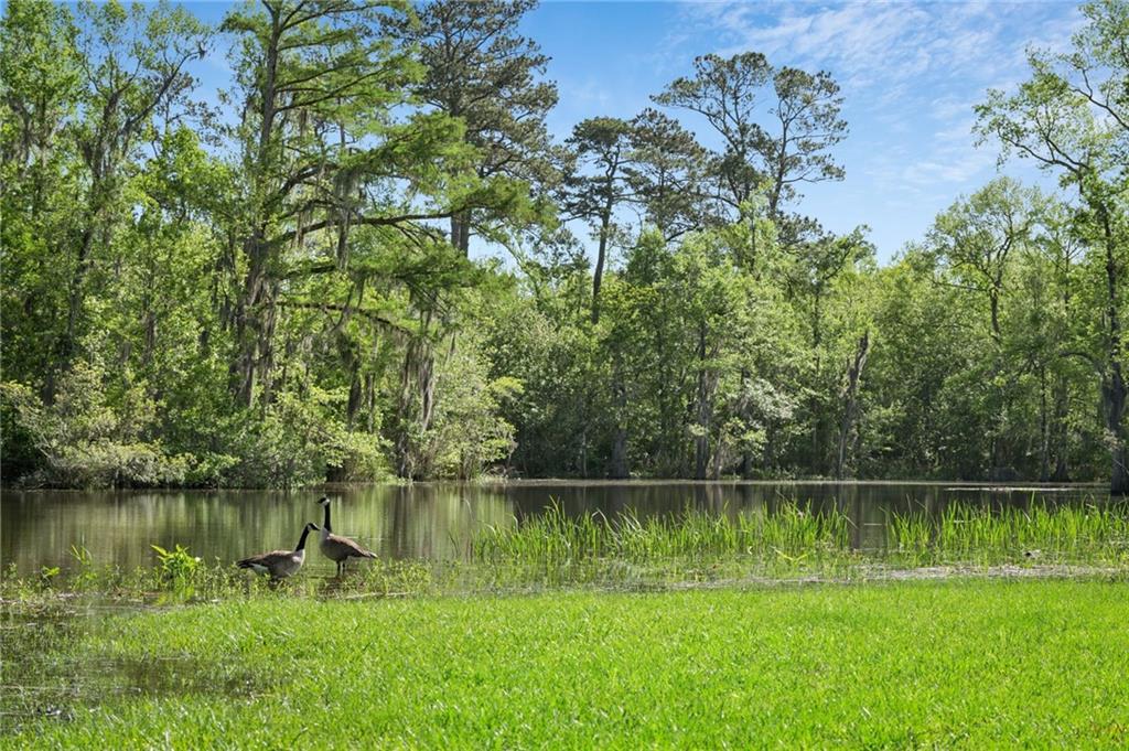 194 BELLE TERRE Boulevard