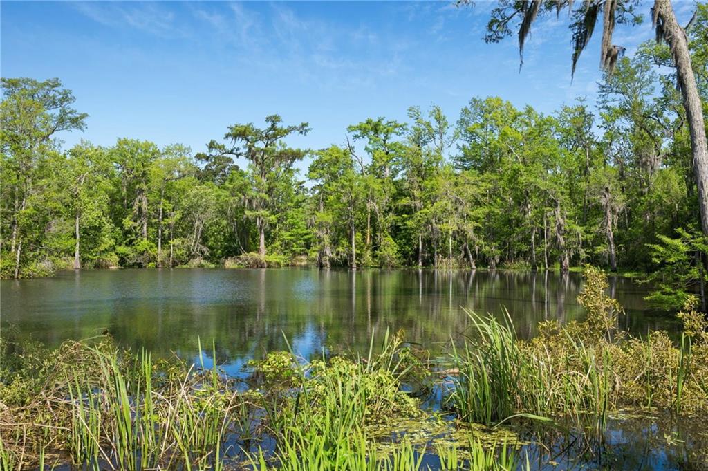 194 BELLE TERRE Boulevard