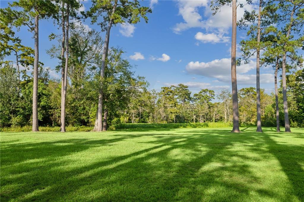 194 BELLE TERRE Boulevard