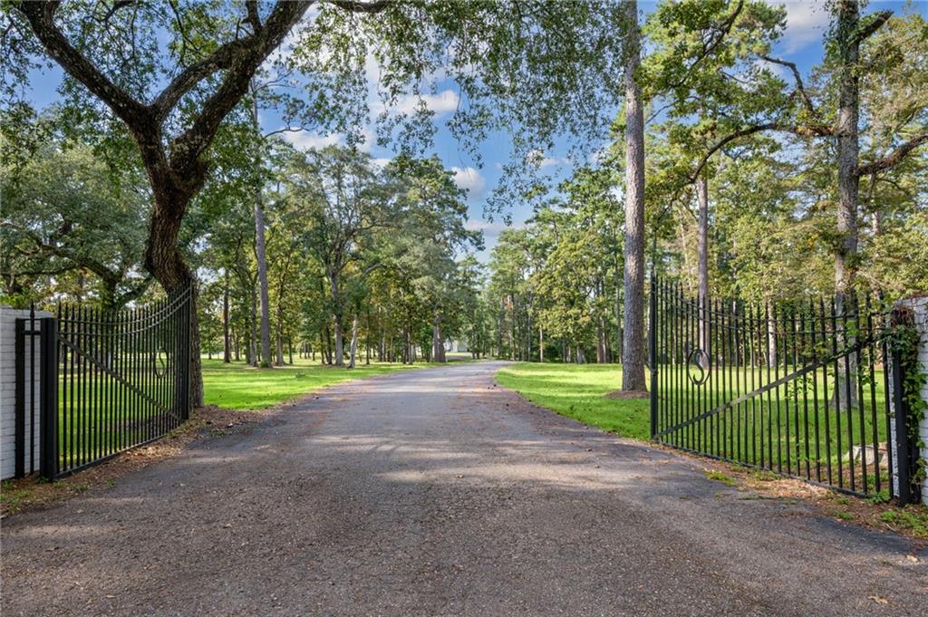 194 BELLE TERRE Boulevard