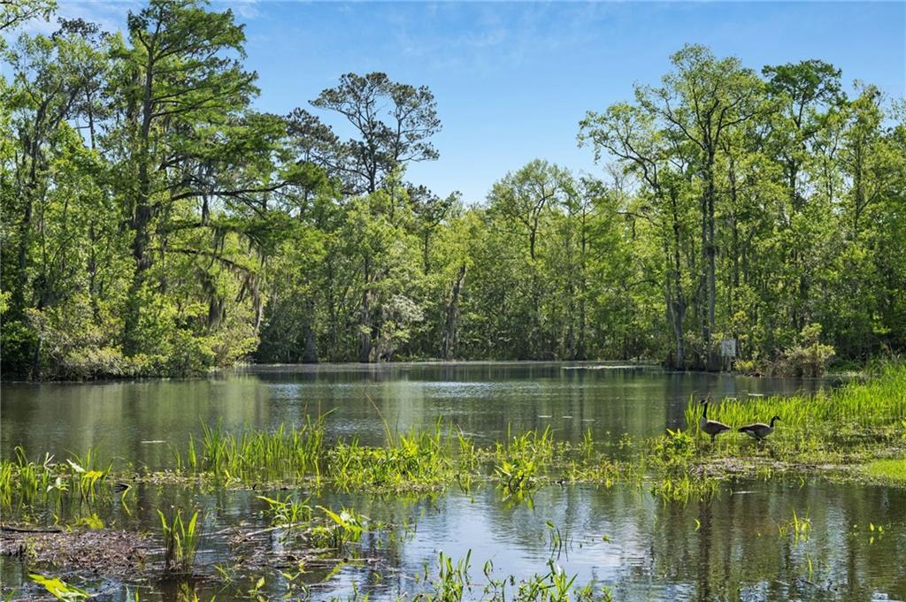 194 BELLE TERRE Boulevard