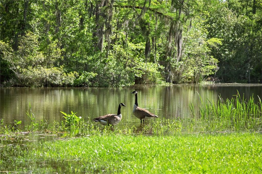 194 BELLE TERRE Boulevard