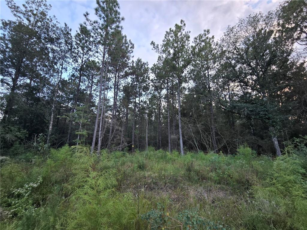 195 MAYHAW Road