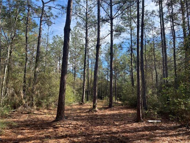 195 MAYHAW Road