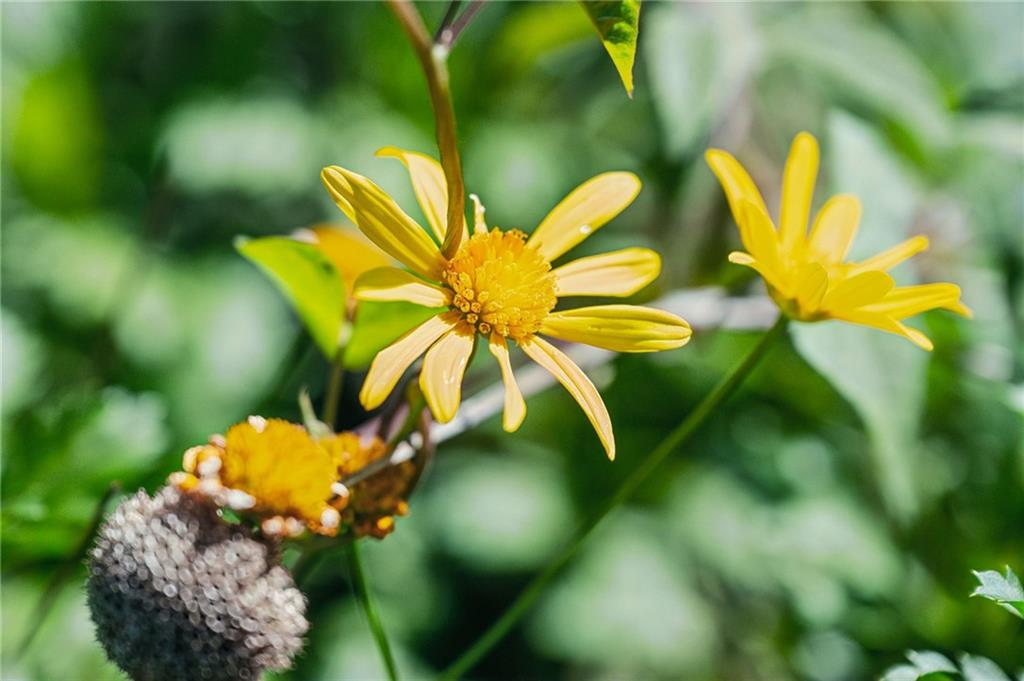 22095 HIGHWAY 40 Highway