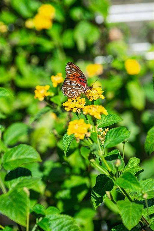 22095 HIGHWAY 40 Highway