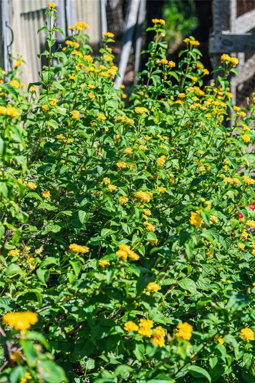 22095 HIGHWAY 40 Highway