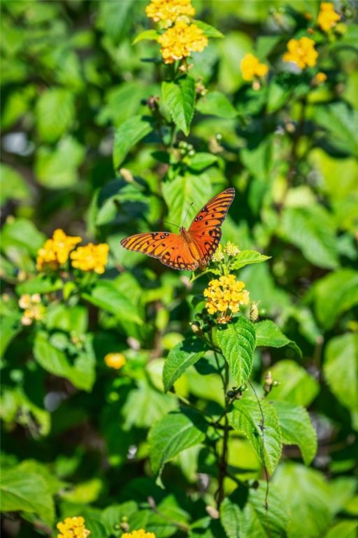 22095 HIGHWAY 40 Highway