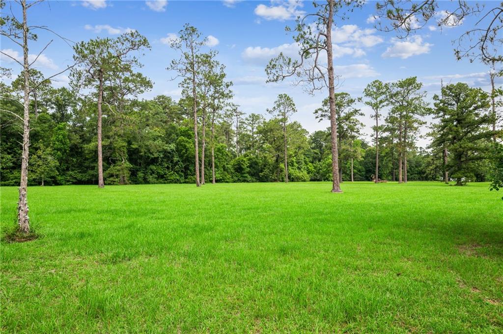 LOT 2 HWY 435 Highway