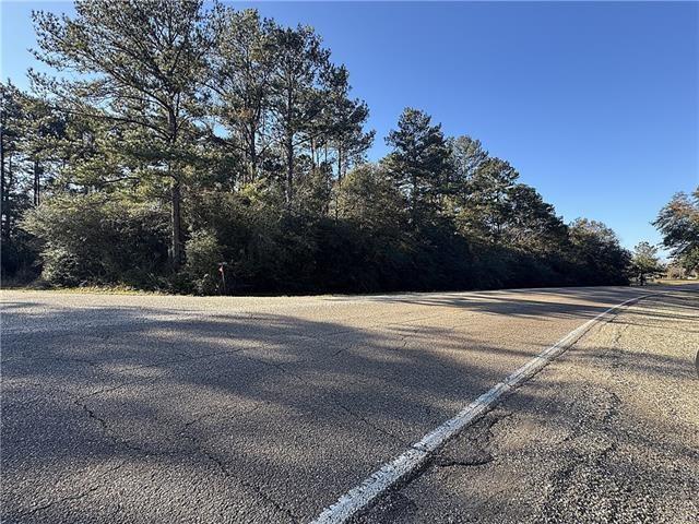 26.89 Acres HIGHWAY 25 Highway