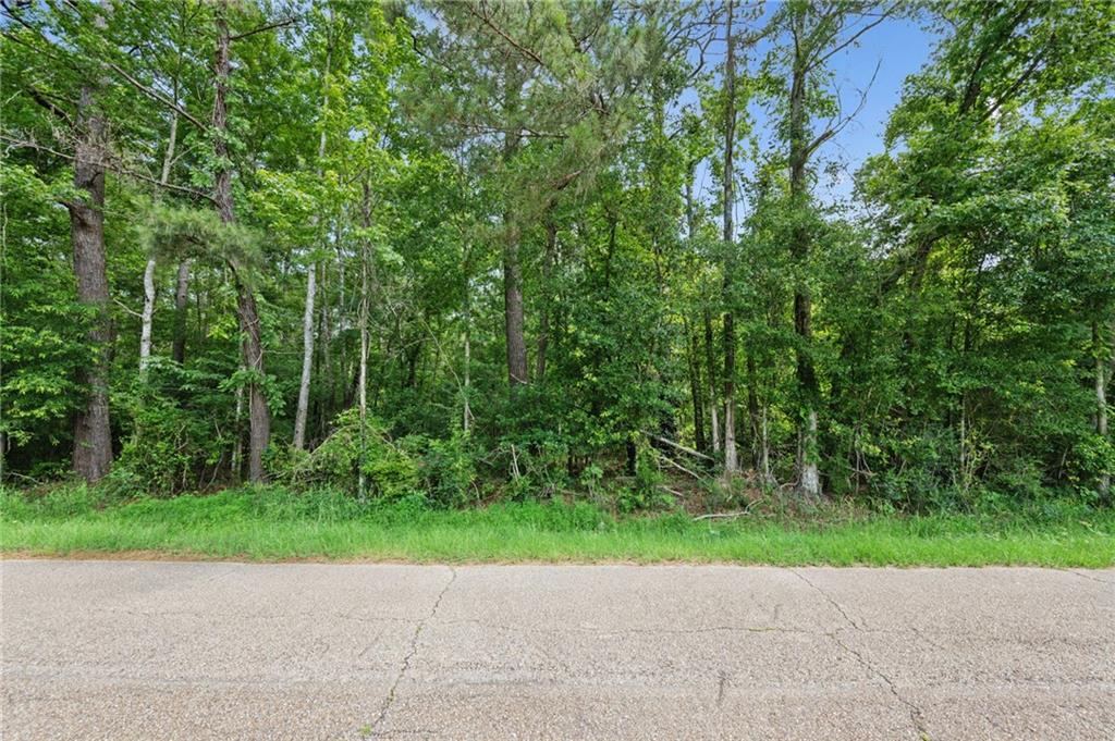 Parcel 2 (6.49) ACRES BRUHL Road