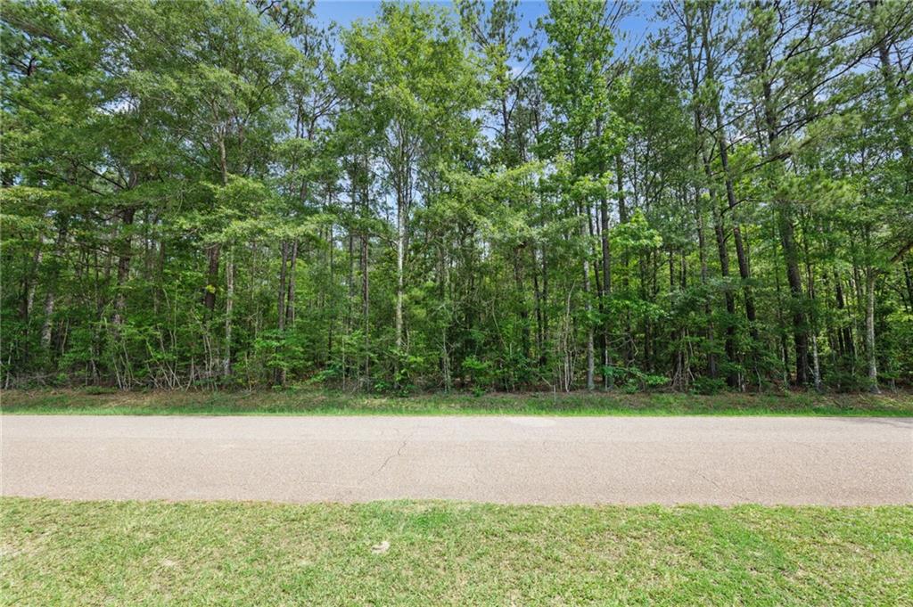 Parcel 2 (6.49) ACRES BRUHL Road