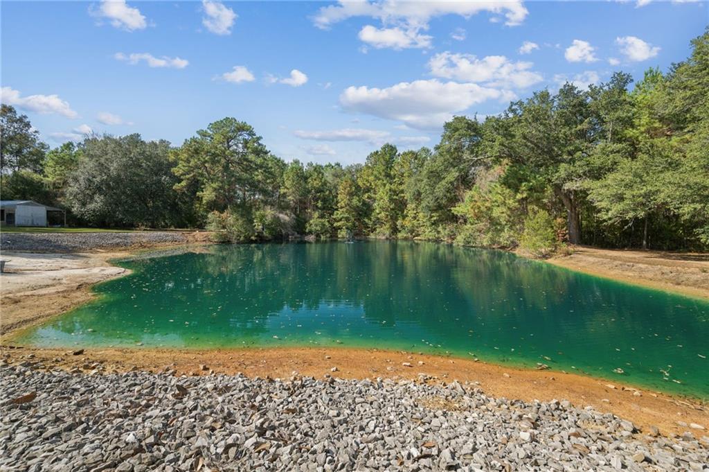 23375 LOWE DAVIS Road