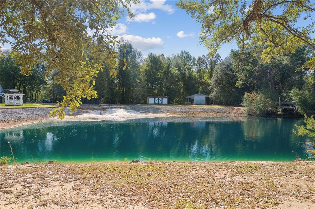 23375 LOWE DAVIS Road