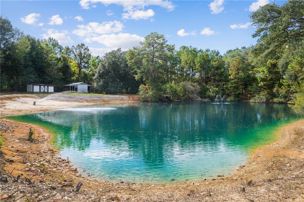 23375 LOWE DAVIS Road