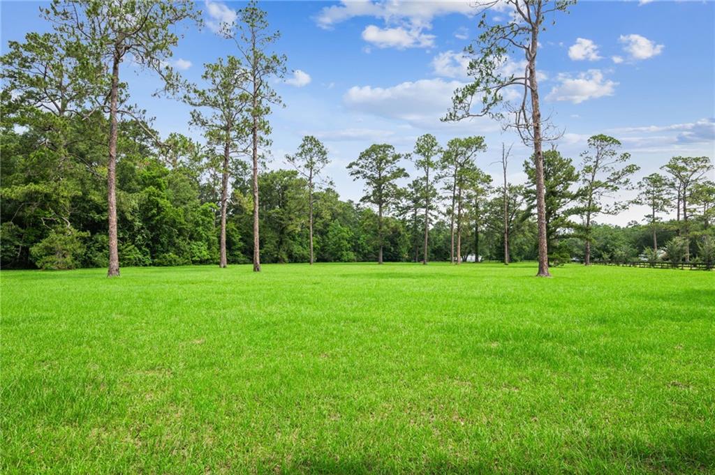 LOT 1 HWY 435 Highway