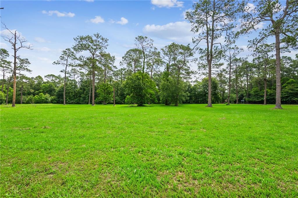 LOT 1 HWY 435 Highway