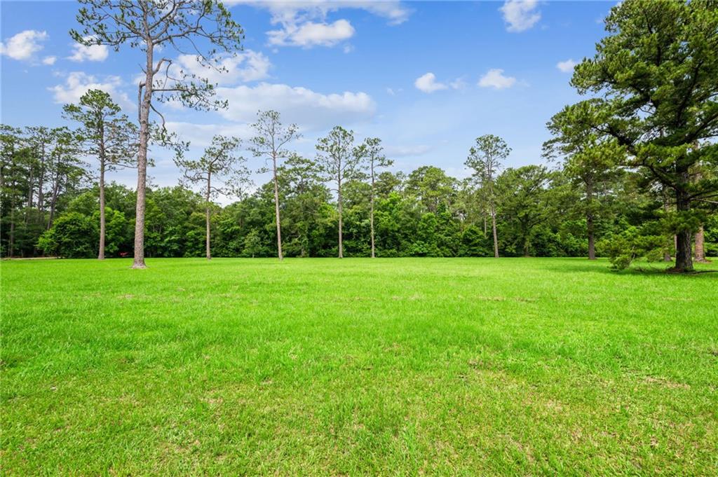 LOT 1 HWY 435 Highway