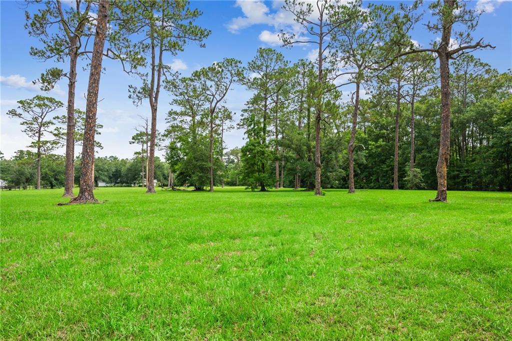 LOT 1 HWY 435 Highway