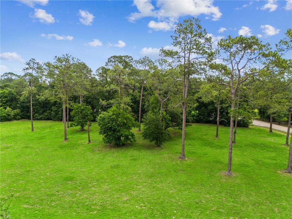 LOT 1 HWY 435 Highway