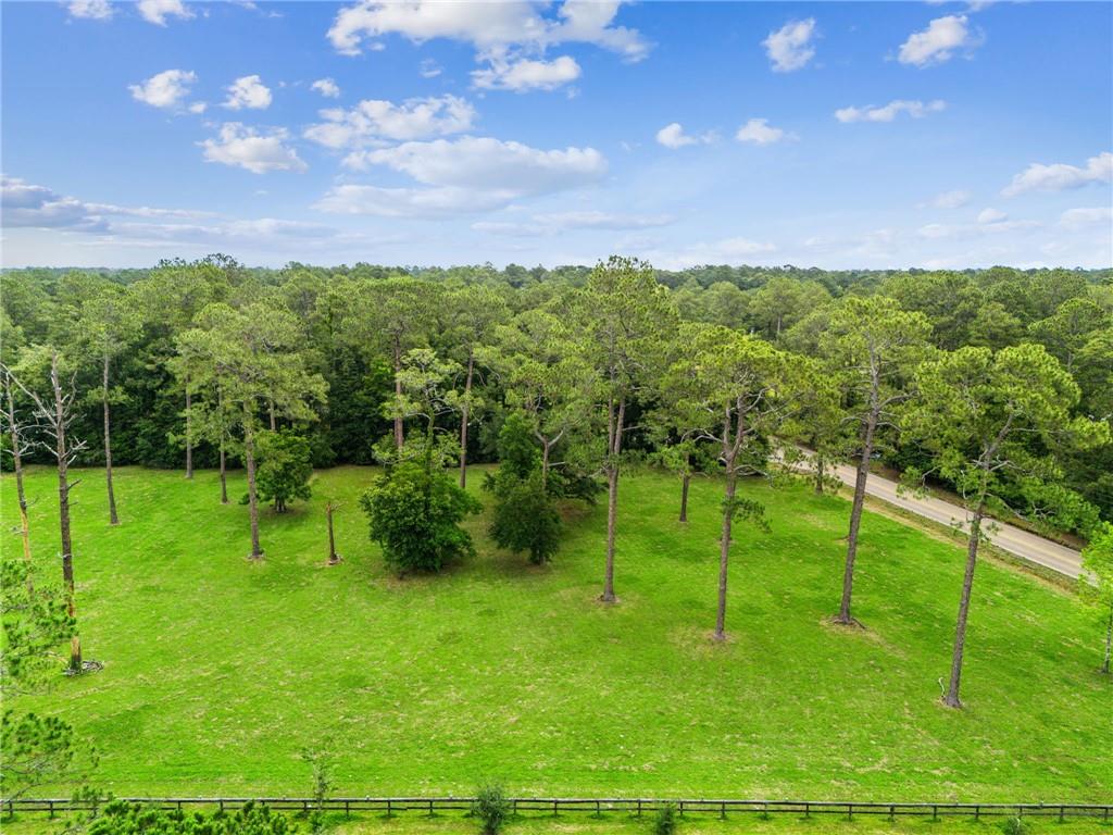 LOT 1 HWY 435 Highway