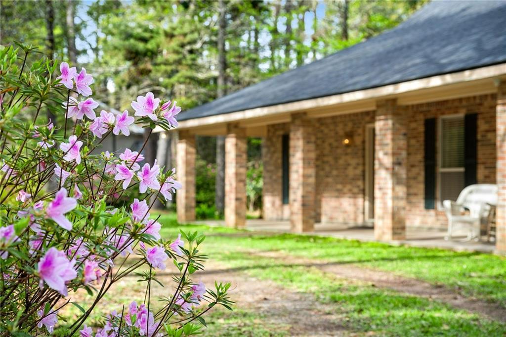33 ELIZABETH Drive