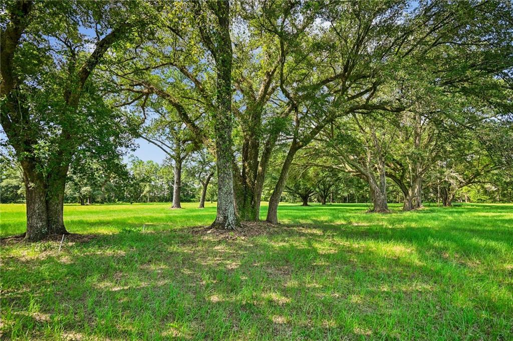 20460 SMITH Road