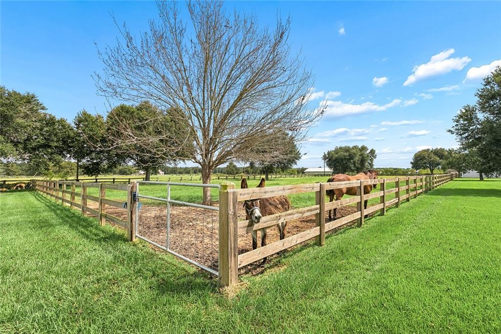 50386 TURNPIKE Road
