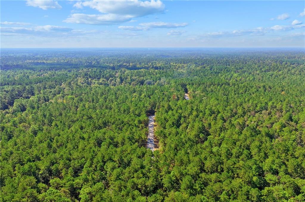 Parcel 4-A LOBLOLLY RIDGE Drive