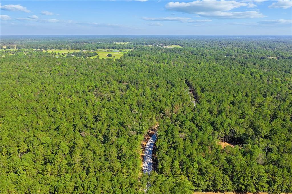 Parcel 4-A LOBLOLLY RIDGE Drive