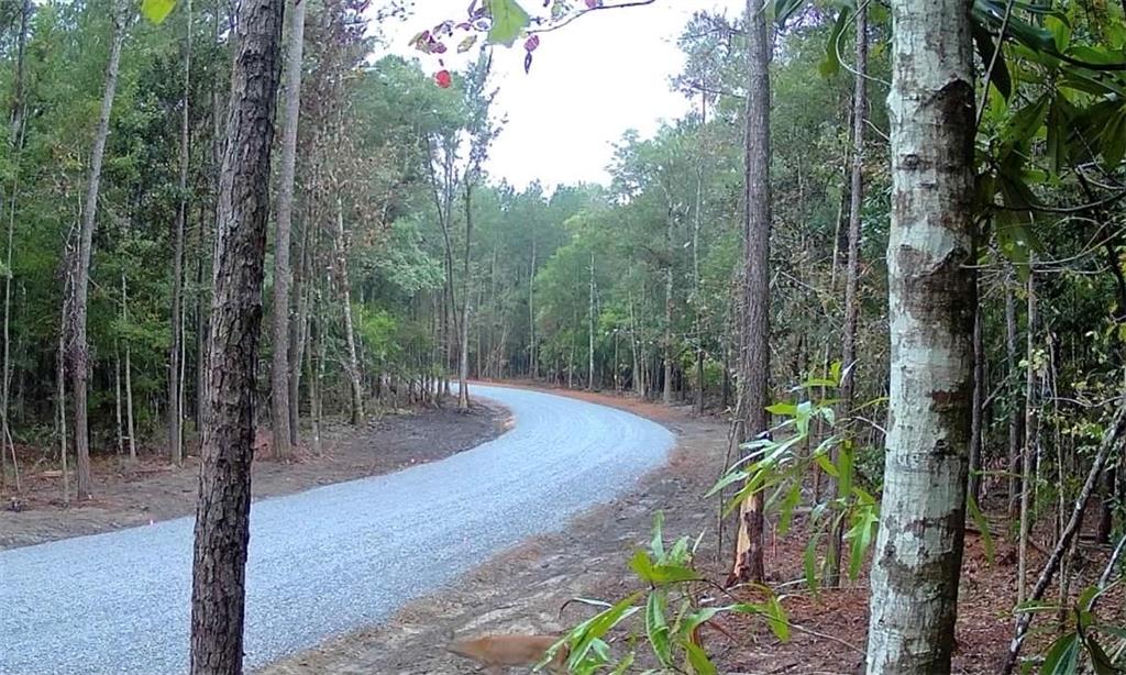 Parcel 5 LOBLOLLY RIDGE Drive