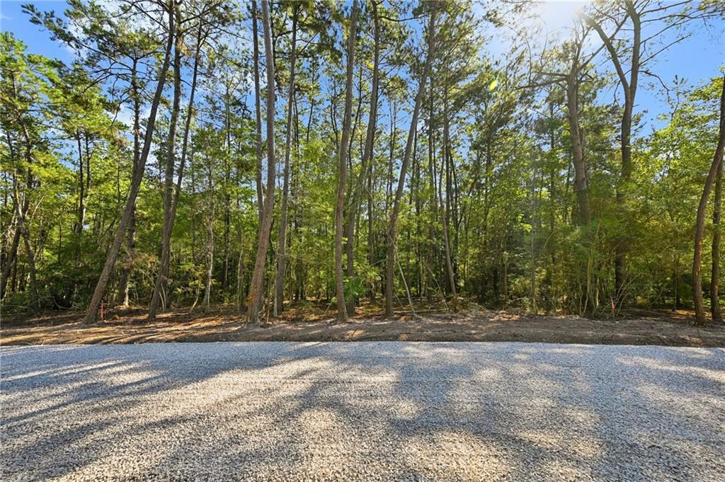 Parcel 5 LOBLOLLY RIDGE Drive